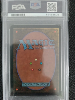 MTG Juzam Djinn Arabian Nights PSA 8 - Image 2