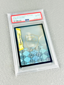 Harry Potter RUBEUS HAGRID HOLO #18 2001 WOTC Harry Potter ~ PSA 8 - Image 1