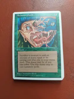 1x 19 Cards - Metamorphosis - Chronicles - C NM MTG - Image 1