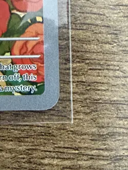 Erika’s Tangela 218/217 Pokemon Ascended Heroes Illustration Rare NM/MT - Image 3