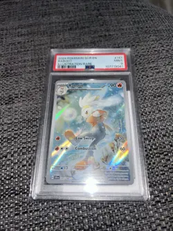 2024 Pokemon Stellar Crown Raboot Illustration Rare #147/142 - PSA MINT 9 - Image 1