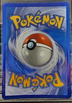 Mega Charizard X ex + Mega Charizard Y ex NM - MEP 029 & 030 Pokemon TCG Promo - Image 4