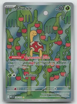 Pokemon - Shuckle 136/132 Illustration Rare Holo - ME01: Mega Evolution - NM - Image 1