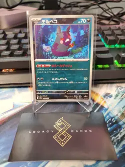 (JP) Morpeko 098/187 - sv8a Terastal Festival ex Pokeball Holo - Pokemon TCG NM - Image 1