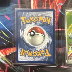 First Partner Kanto Starters Bulbasaur, Charmander, Squirtle Pokemon 3 Card Set - Image 3