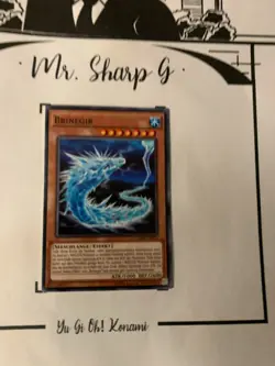 BRINEGIR - CHIM-DE026 DEUTSCH Yu-Gi-Oh! CARD COMMON KONAMI TRADING 2019 ORIGINAL - Image 2