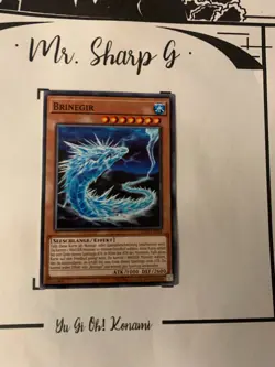 BRINEGIR - CHIM-DE026 DEUTSCH Yu-Gi-Oh! CARD COMMON KONAMI TRADING 2019 ORIGINAL - Image 3