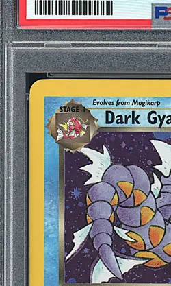DARK GYARADOS 2000 Pokemon Team Rocket Prerelease Holo #8 - PSA 9 -796 - Image 3