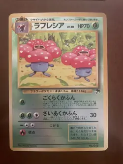 Tropical Island Jungle Complete Set #1, 3 Cards, Post Card & Sleeve - Image 3