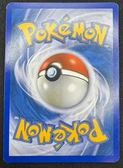 Chimchar DP02 Diamond and Pearl Promo Holo Card MP - Image 2