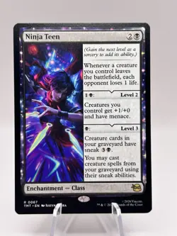 Ninja Teen 0067 Teenage Mutant Ninja Turtles TMT MTG NM - Image 1