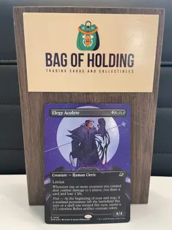 Elegy Acolyte - 0293 - FOIL - Borderless -Edge of Eternities -NM - Magic - MTG - Image 1