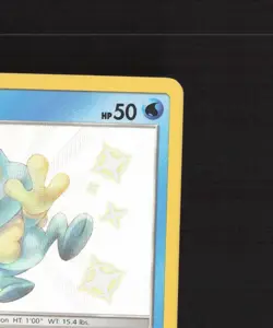 Froakie SV11/SV94 Hidden Fates Shiny Holo Rare Pokemon Card NM - Image 4
