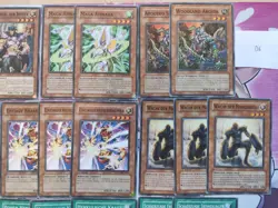 Yu-Gi-Oh! Zwillingsmonster Normale Monster Deck Sammlung Deutsch D6 - Image 3