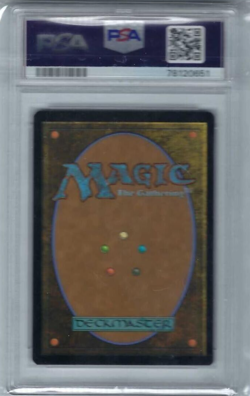 2023 MTG Lord of the Rings Delighted Halflings Extended Art #363 PSA 10 - Image 2