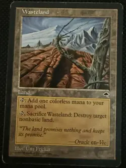 Wasteland Tempest Magic the Gathering Land MtG - Image 1