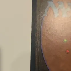 Magic: The Gathering Wasteland Tempest Land Regular 1997 Uncommon English - Image 3