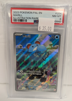 2023 Pokemon PAL EN #204 Marill Illustration Rare PSA 8 - Image 3