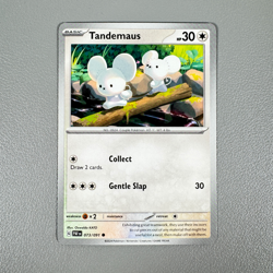 Pokemon TCG Card - Tandemaus 73/91 Common | 2024 Paldean Fates | NM/Mint - Image 1