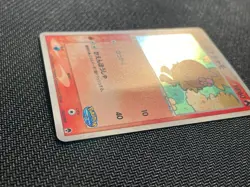 Pokemon Card Torchic Pokepark Japanese Promo Forest File 2005 - Image 2