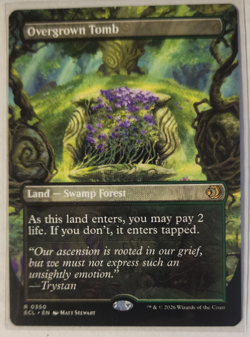 OVERGROWN TOMB - Borderless - Lorwyn Eclipsed - MTG Rare #350 - Image 1