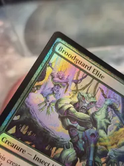 FOIL U 0175 Broodguard Elite Creature Uncommon Edge of Eternities MTG Card - Image 2