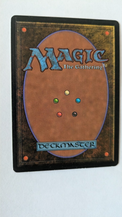 Scrubland Revised MTG EXC free shipping with tracking 2 - Image 2