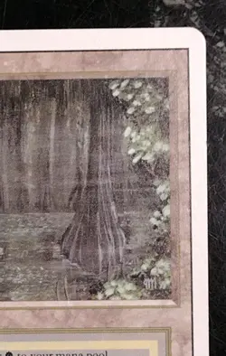 Bayou Dual Land Unplayed Revised RARE Magic The Gathering MTG 1993 HOT🔥 KEY🗝 - Image 4