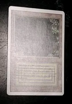 Bayou Dual Land Unplayed Revised RARE Magic The Gathering MTG 1993 HOT🔥 KEY🗝 - Image 5