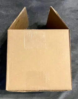 Pokemon TCG First Partner Illustration Collection Series OPENED Case Of 6 - Image 2