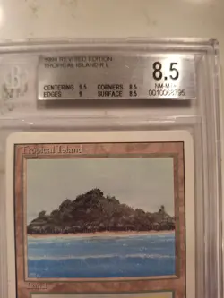 MTG Tropical Island BGS 8.5 NM MT+ Revised Edition 3rd 9.5, 8.5, 9, 8.5 - Image 2
