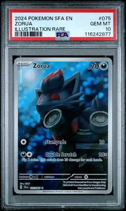 2024 POKEMON SFA EN-SHROUDED FABLE ILLUSTRATION RARE #075 ZORUA PSA 10 - Image 1