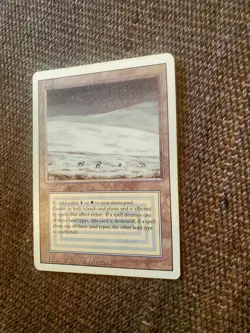 MTG- Tundra - Revised Edition - Image 3