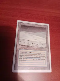 MTG NM Tundra 3rd Edition / Revised English - Image 1
