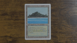 Tropical Island Revised Edition Regular - Image 1