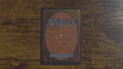 Tropical Island Revised Edition Regular - Image 2