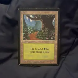 Forest - B - (Beta) MP MTG - Image 1