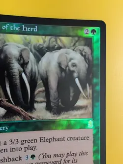 Call of the Herd. Sorcery. MTG Card. Odyssey.Old Border FOIL. - Image 4