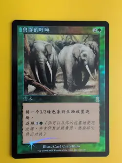 Call of the Herd. Foreign- non english. MTG Card. Odyssey.Old Border FOIL. - Image 1