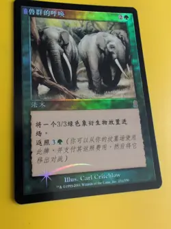Call of the Herd. Foreign- non english. MTG Card. Odyssey.Old Border FOIL. - Image 4