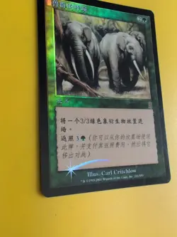 Call of the Herd. Foreign- non english. MTG Card. Odyssey.Old Border FOIL. - Image 5