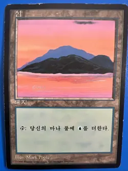 VINTAGE~MTG~Korean~ISLAND~1996~MAGIC the Gathering - Image 1