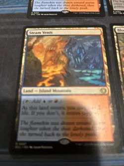 Mtg Steam Vents Blood Crypt Overgrown Tomb Hallowed Fountain Temple Garden X1 - Image 2