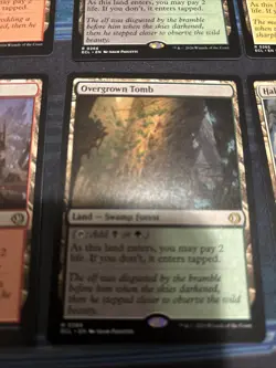 Mtg Steam Vents Blood Crypt Overgrown Tomb Hallowed Fountain Temple Garden X1 - Image 4