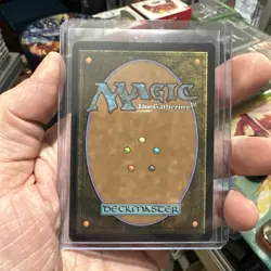 Frodo, Adventurous Hobbit - Extended Art Foil - Tales of Middle-earth MTG NM - Image 2