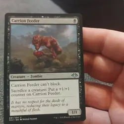 1x Carrion Feeder - NM English MTG - Modern Horizons - Image 1
