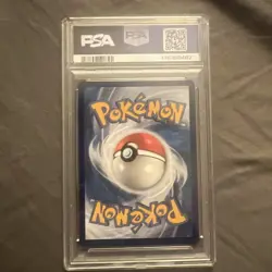 2024 Pokemon Stellar Crown Squirtle Illustration Rare #148/142 PSA 10 Gem Mint - Image 2