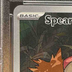 Spearow 2025 Pokemon Mega Evolution #151/132 Illustration Rare PSA 10 - Image 3