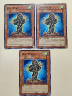 3x Copy Plant CSOC-EN005Common 1st Edition LP - Image 2