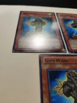 3x Copy Plant CSOC-EN005Common 1st Edition LP - Image 5